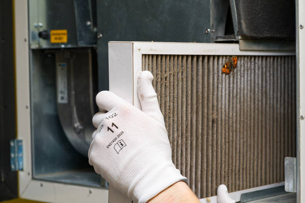 Best Air Vent Cleaning Services  in Tonganoxie, KS