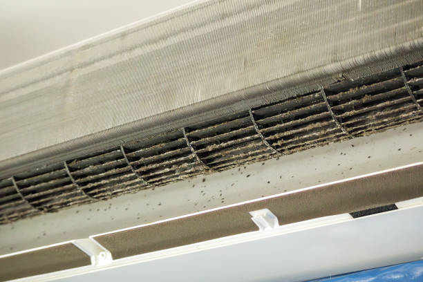 Best Air Vent Cleaning Services  in Tonganoxie, KS
